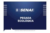 Projeto Pegada Ecológica SENAI  - Projeto Curitiba 2030 -CICI2011