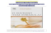 Resumo: O Sucesso Tem Fórmula? (by Celso Silvati)