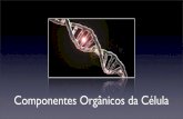 Componentes orgânicos da célula