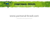 Apresentação resumida do Portal Pantanal Brasil - MT /MS