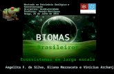 Biodiversidade - Biomas Brasileiros
