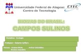 Bioma   Campos Sulinos