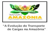 Irani Bertolini - A Evolução do Transporte de Cargas na Amazônia