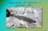 8 Encontro: Jeguiando em Bonito e Jardim (MS)