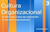 Cultura Organizacional 3