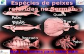 Apresentação peixes SERMÃO Pd ANTÓNIO VIEIRA