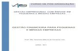 Gestão financeira -Sílvio ronaldo doc8