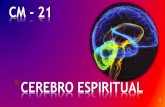 Cm  21 - cérebro espiritual