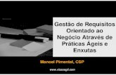 Palestra Gestão de Requisitos através de práticas Ágeis e Enxutas  - Manoel Pimentel