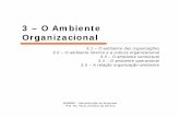 ADM - O ambiente organizacional