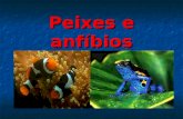 Peixes e anfíbios(1)