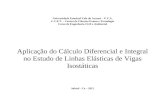 Aplicação do Cálculo Diferencial e Integral no Estudo de Linhas Elásticas de Vigas Isostáticas