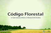 Código Florestal: o que muda para o produtor rural