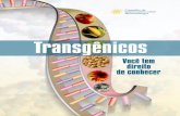 Cartilha transgenicos