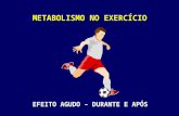 Metabolismo e exercicio