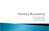 Política brasileira-como está constituída