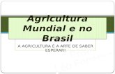 Agricultura mundial e do brasil