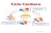 Transparência nº4   ciclo cardíaco