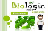 Fotossíntese I - Thiago Deschamps