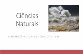 Ciências naturais   perturbações naturais dos ecossistemas - catástrofes naturais