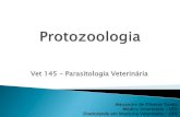 Protozoologia - vet145