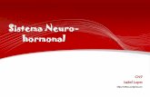 Sistema neuro hormonal - Nervoso