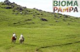 Trabalho de Ecologia - Bioma Pampa