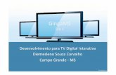 Desenvolvimento para tv digital interativa [ dia 1]