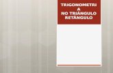 Trigonometria triângulo retângulo - questoes respondidas