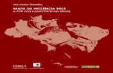 Mapa da Violência 2012 - A Cor dos Homicídios no Brasil