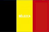 Belgica 2014