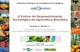 Enfisa 2014 - O Futuro do Desenvolvimento Tecnológico da Agricultura Brasileira