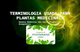 Terminologia usada para plantas medicinais