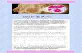 Cancer de mama completo