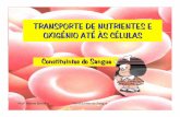 Transporte De Nutrientes E OxigéNio Até àS CéLulas Sangue