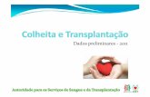 Portugal - Colheita e transplantacao 2011