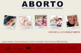 Aborto 2012