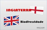 Inglaterra   Biodiversidade (M92 Am)