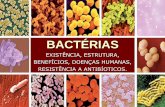 Biologia: Bactérias