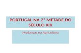 Portugal na 2ª metade do século xix agricultura