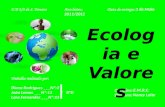 Mural(ecologia e valores)
