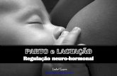 Parto e lactação   regulação hormonal