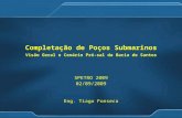 Completacao De Pocos Submarinos   Visao Geral E Cenario Pre Sal Da Bacia De Santos