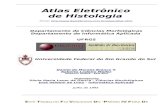 7043155 Atlas Histologia