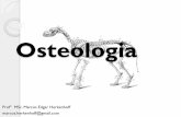 2 Aula - Osteologia
