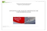 Apostila de Práticas de Microbiologia Professor Sandro Gazzinelli (1).doc