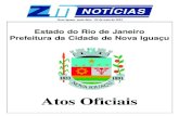 diario oficial de nova iguaçu - 03 de mail de 2013.