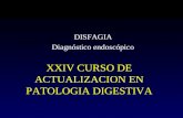 XXIV CURSO DE ACTUALIZACION EN PATOLOGIA DIGESTIVA DISFAGIA Diagnóstico endoscópico.