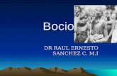 Bocio DR RAUL ERNESTO SANCHEZ C. M.I. Generalidades: Situada en la cara anterior del tercio inferior del cuello y abraza por su cara posterior a la traquea.