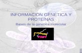 INFORMACIÓN GENÉTICA Y PROTEÍNAS Bases de la genética molecular.